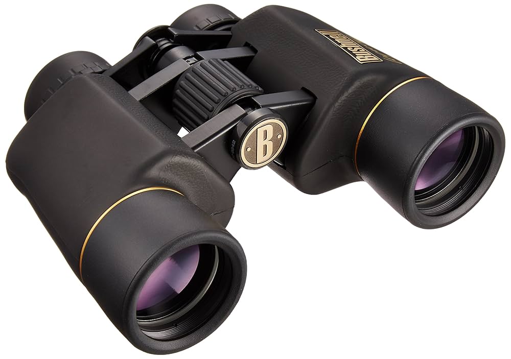 Bushnell - 美品 Bushnell ブッシュネル POWERVIEW 双眼鏡 10×42 Bushnell-PowerView-10x25-All-